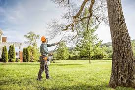 Best Tree Maintenance Programs  in Jamestown, NC