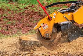 Best Fruit Tree Pruning  in Jamestown, NC